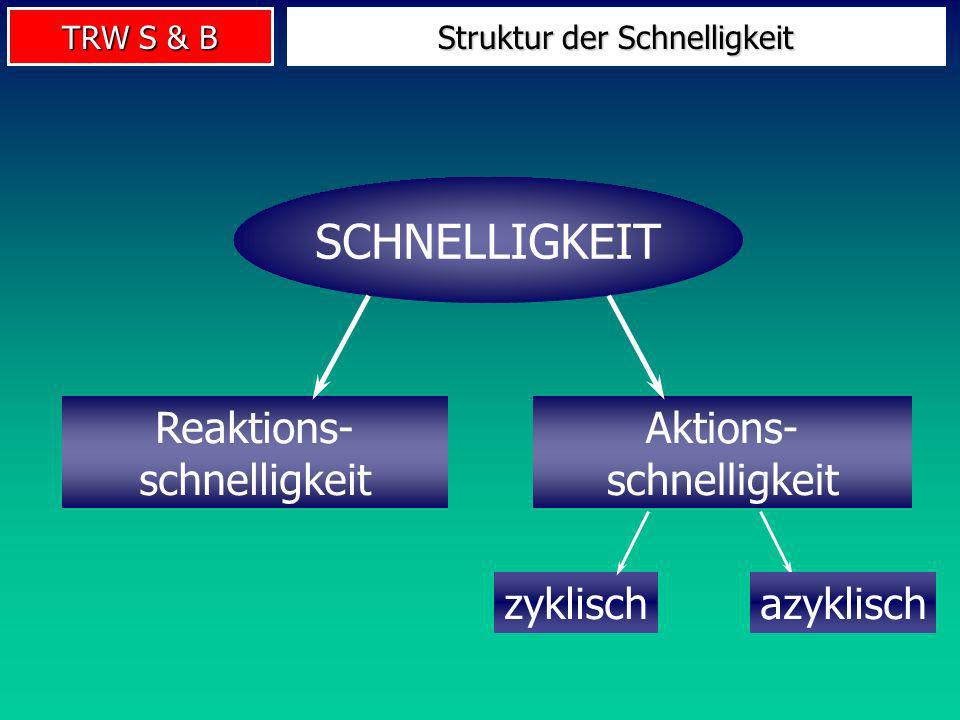 antizipation im activity meaning essay antizipation im or her recreation standard essay